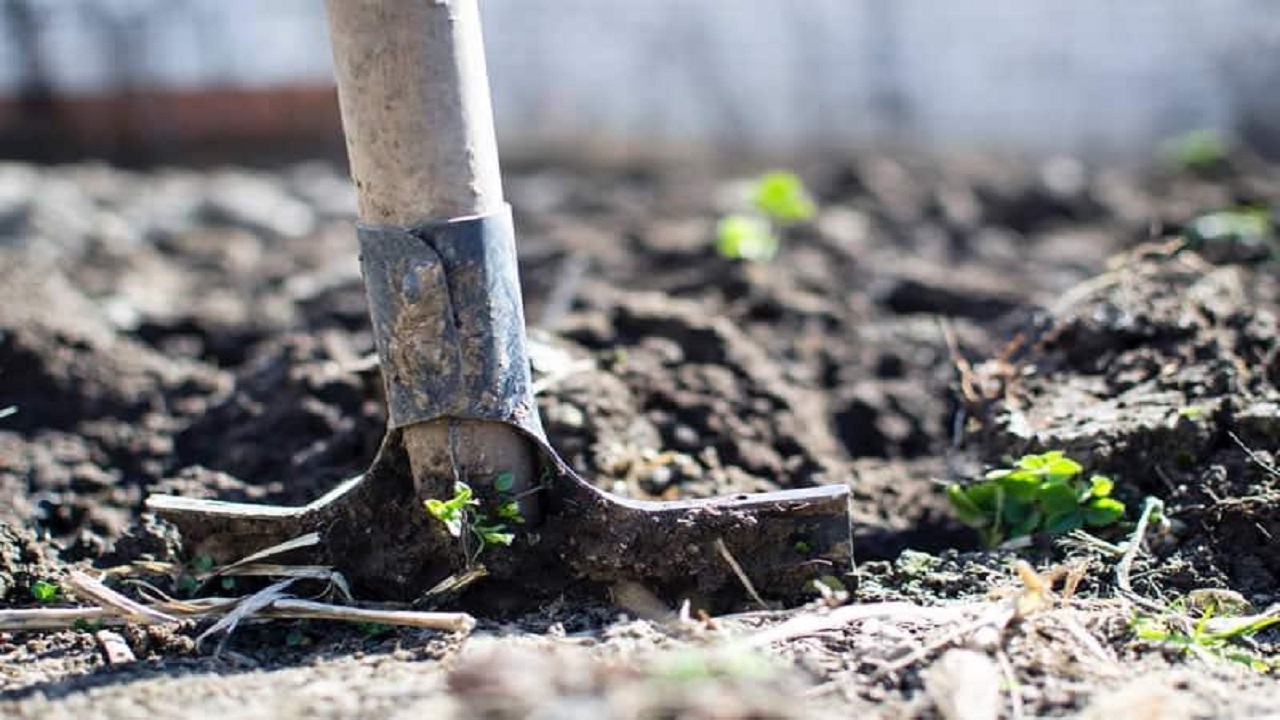 Tips and Tricks to Maximize Garden Tools Usage to Keep Your Garden Trim and Ready